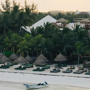 Отель Casa Tortugas Petit & ****